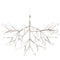 Thumbnail photo of Heracleum III Suspended Pendant Lamp