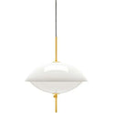 Clam Pendant Lamp