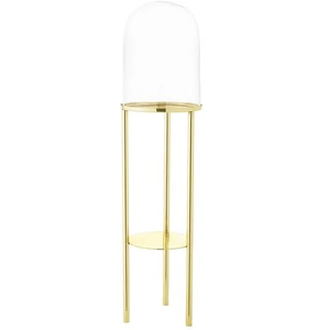 Photo of Watch Me Pedestal Glass Screen Iron