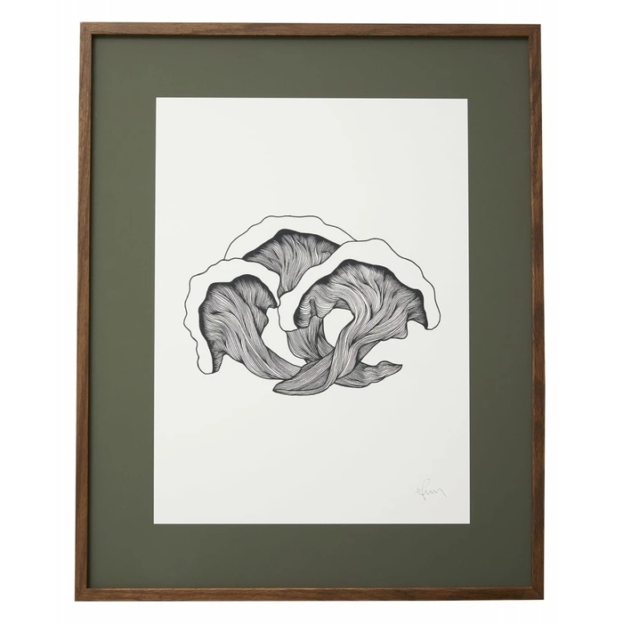 Photo of Mushrooms Illustration - Dark Oak