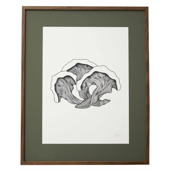 Photo of Mushrooms Illustration - Dark Oak