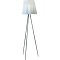Thumbnail photo of Rosy Angelis Floor Lamp
