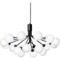 Thumbnail photo of Apiales 18 Chandelier