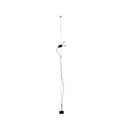 Thumbnail photo of Parentesi Floor Lamp