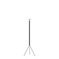 Thumbnail photo of Luminator Floor Lamp