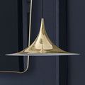 Thumbnail photo of Semi Pendant Lamp, Medium