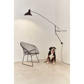 Thumbnail photo of Mantis BS2 Wall Lamp