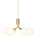 Thumbnail photo of Apiales 6 Chandelier