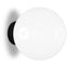 Globe Surface Wall Lamp
