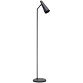 Thumbnail photo of Precise Floor Lamp