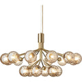 Thumbnail photo of Apiales 18 Chandelier