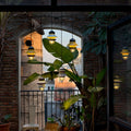 Thumbnail photo of Santorini Outdoor Pendant Lamp - Mustard - Taklampor Utomhus - Sputnik Estudio - Flower