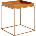 Tray Table