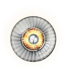 Photo of New Wave Optic Wall Lamp 1