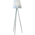 Thumbnail photo of Rosy Angelis Floor Lamp