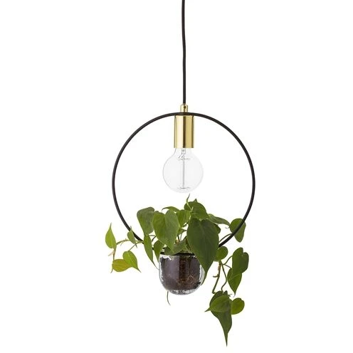 Photo of Hanging Lamp Gold Finished Glass