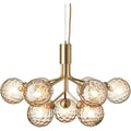 Thumbnail photo of Apiales 9 Chandelier