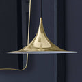 Thumbnail photo of Semi Pendant Lamp, Medium