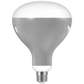 Thumbnail photo of Bulb Led 13w (1180lm) R125 2700k E27 Greenplux