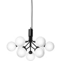 Apiales 9 Chandelier