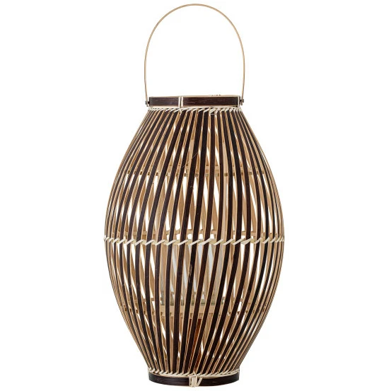Photo of Jurassic Lantern - Natural