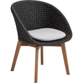Thumbnail photo of Peacock Outdoor Chair