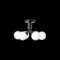 Thumbnail photo of Apiales 6 Chandelier