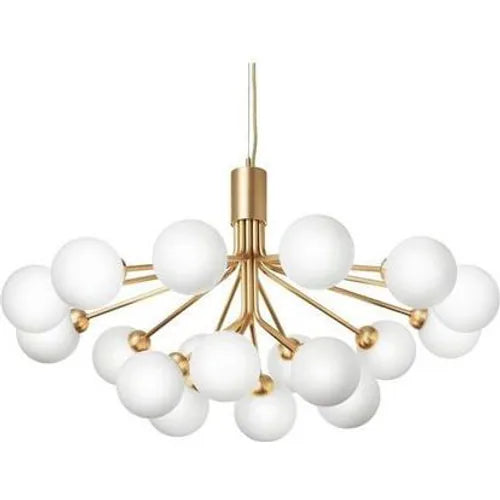 Photo of Apiales 18 Chandelier