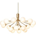 Thumbnail photo of Apiales 18 Chandelier