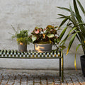 Thumbnail photo of Palissade Bench