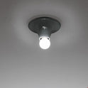 Teti Ceiling Lamp/wall Lamp