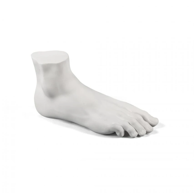 Photo of Memorabilia Mvsevm Male Foot Decoration Object