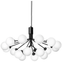 Apiales 18 Chandelier