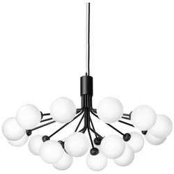 Photo of Apiales 18 Chandelier