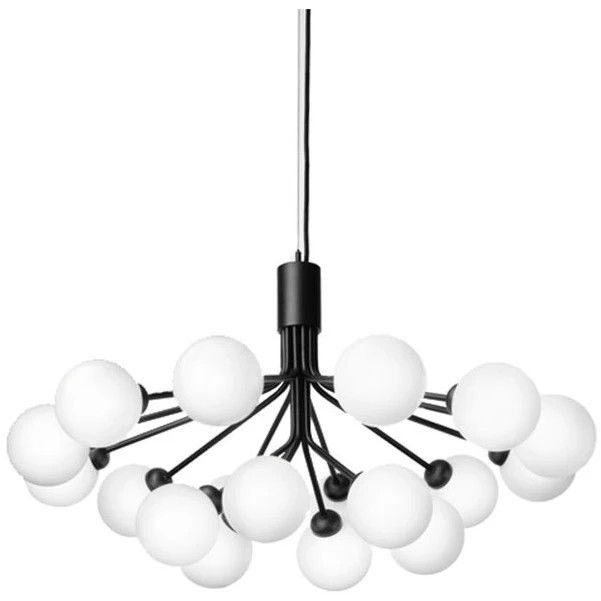 Apiales 18 Chandelier