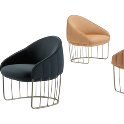 Photo of Tonella Lounge Chair