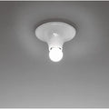 Thumbnail photo of Teti Ceiling Lamp/wall Lamp