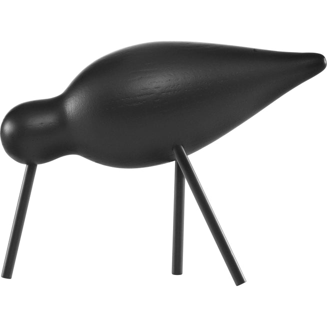 Photo of Shorebird Black