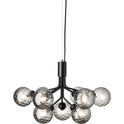 Apiales 9 Chandelier Satin