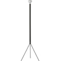 Thumbnail photo of Luminator Floor Lamp
