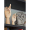 Thumbnail photo of Wooden Hand