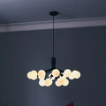 Thumbnail photo of Apiales 18 Chandelier