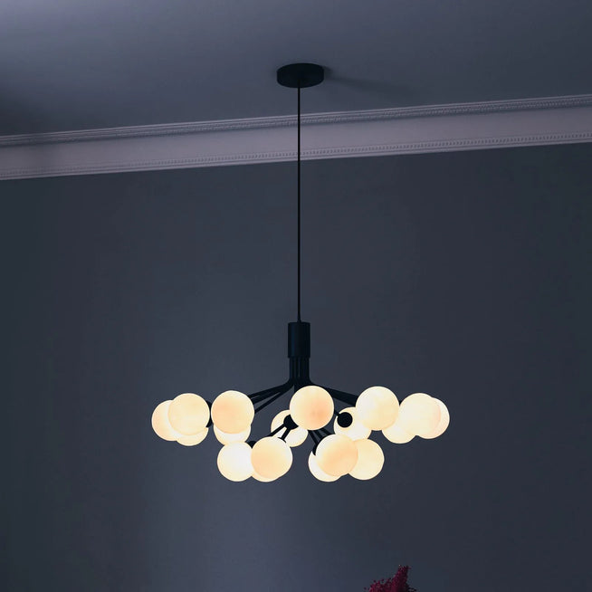 Photo of Apiales 18 Chandelier