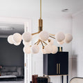 Thumbnail photo of Apiales 18 Chandelier