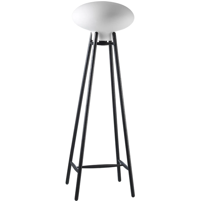 Photo of Hiti U5 Floor Lamp - Black Lacquered Oak
