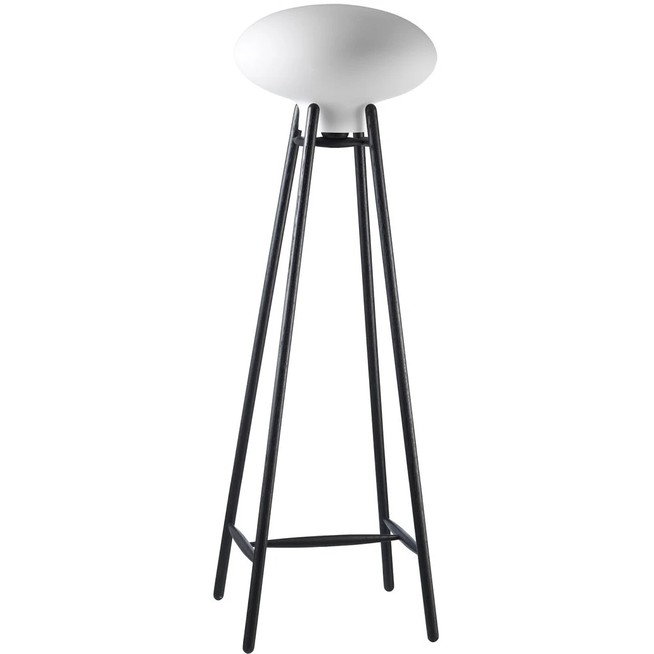 Photo of Hiti U5 Floor Lamp - Black Lacquered Oak