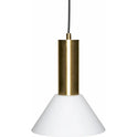 Contrast Hanging Lamp