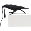 Thumbnail photo of Bird Lamp Playing Black Outdoors