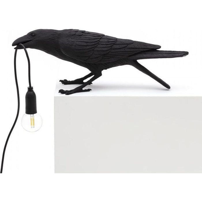 Photo of Bird Lamp Playing Black Outdoors