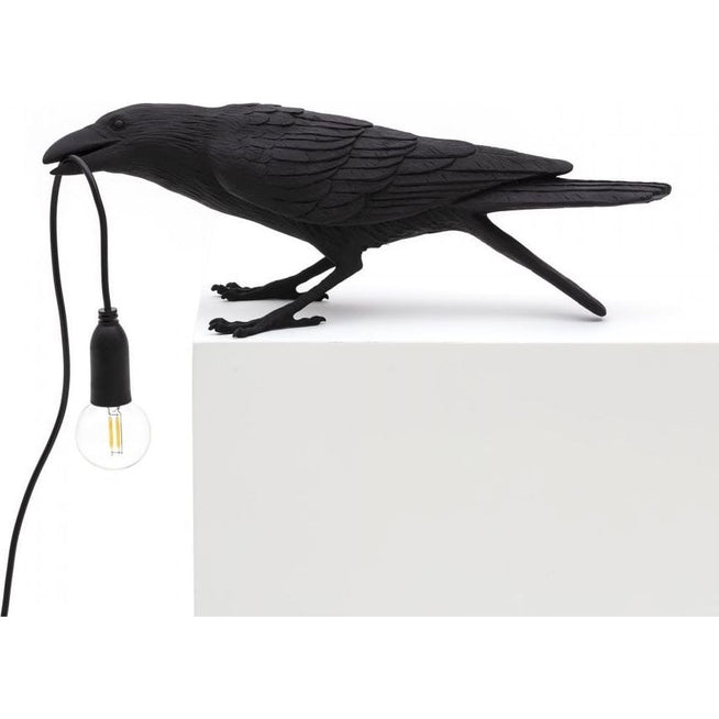 Photo of Bird Lamp Playing Black Outdoors